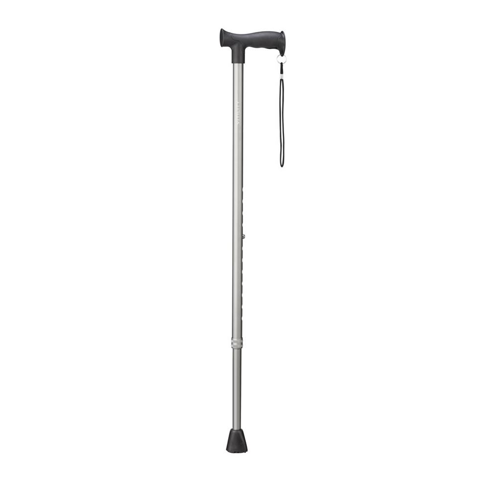 VITILITY Gehstock anthrazit 1 Stk