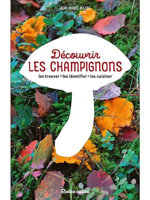 DECOUVRIR LES CHAMPIGNONS