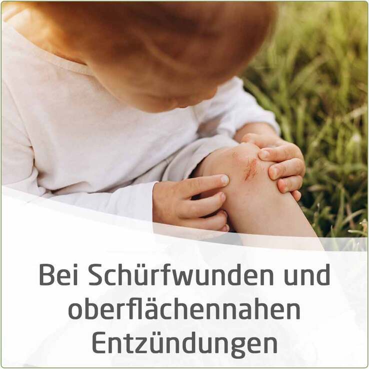 Calendula Wundsalbe bei Schürfwunden und Hautverletzungen, 25 g