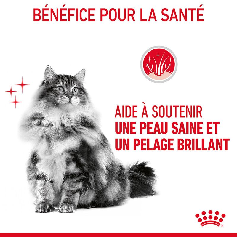 Royal Canin Hair & Skin Care en sauce