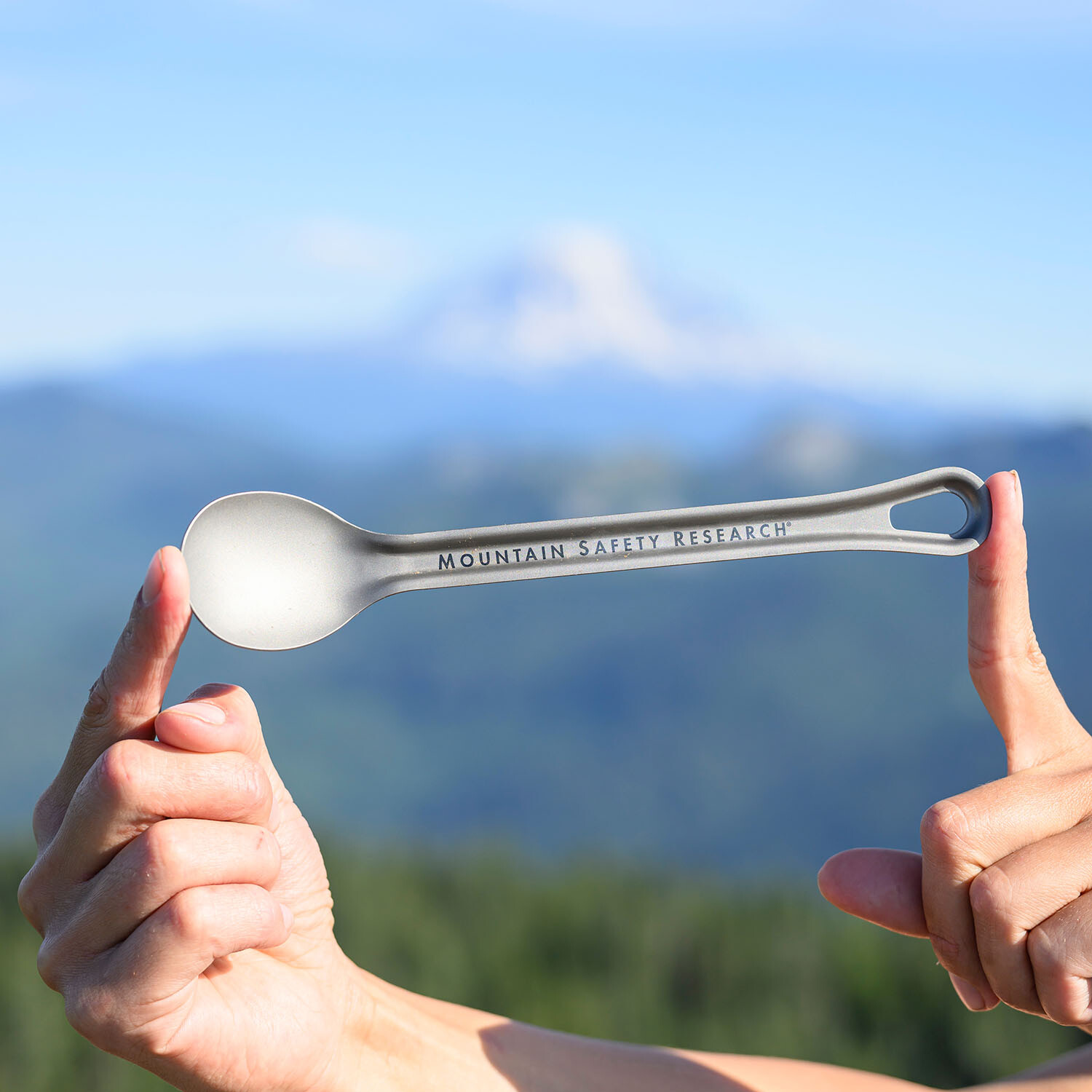 MSR Titan Long Spoon
