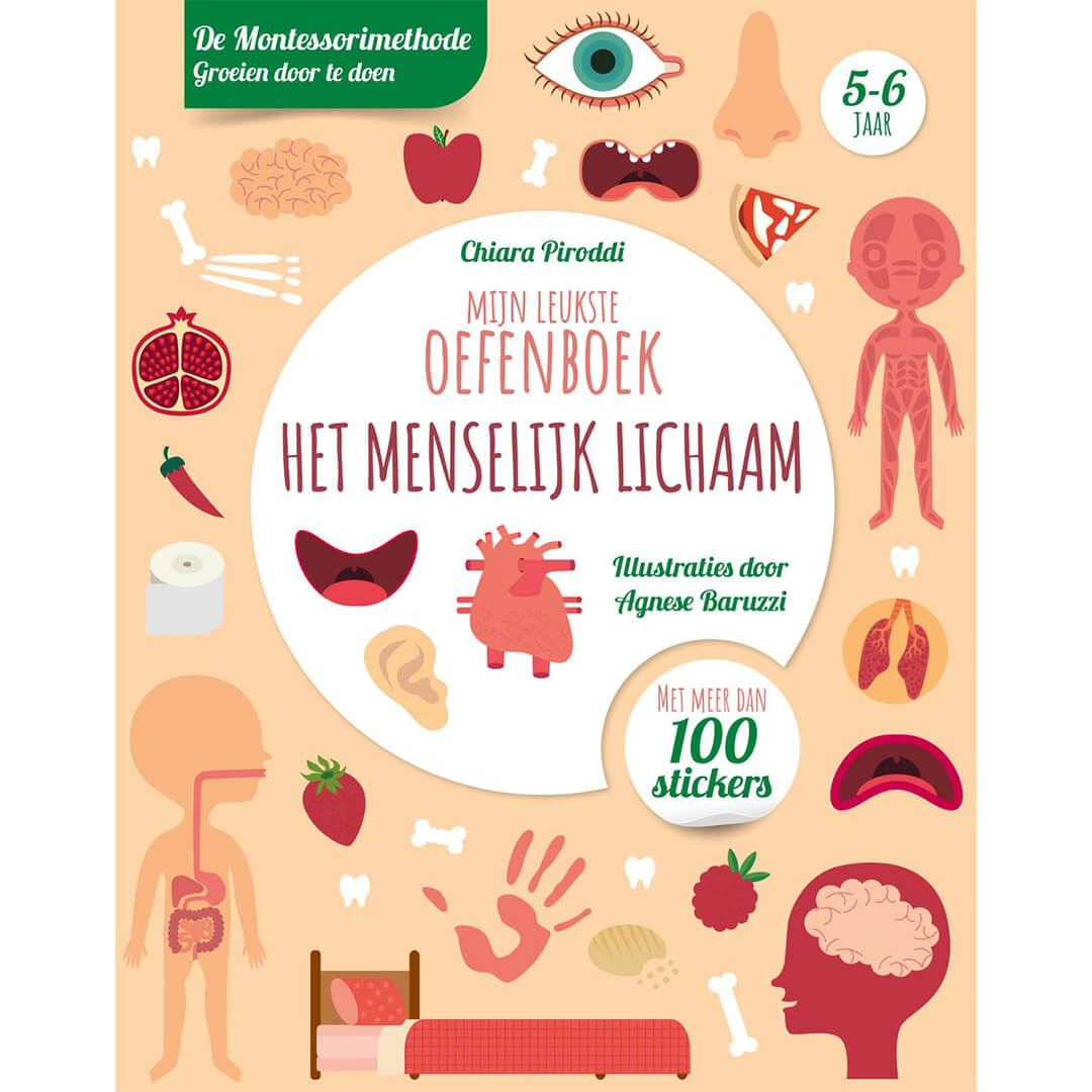Mijn leukste oefenboek - het menselijk lichaam