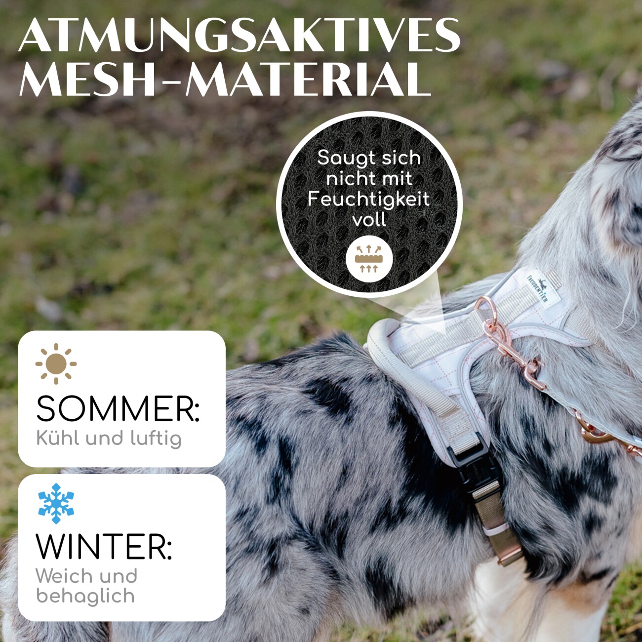 Freudentier atmungsaktives Hundegeschirr Clyde XS