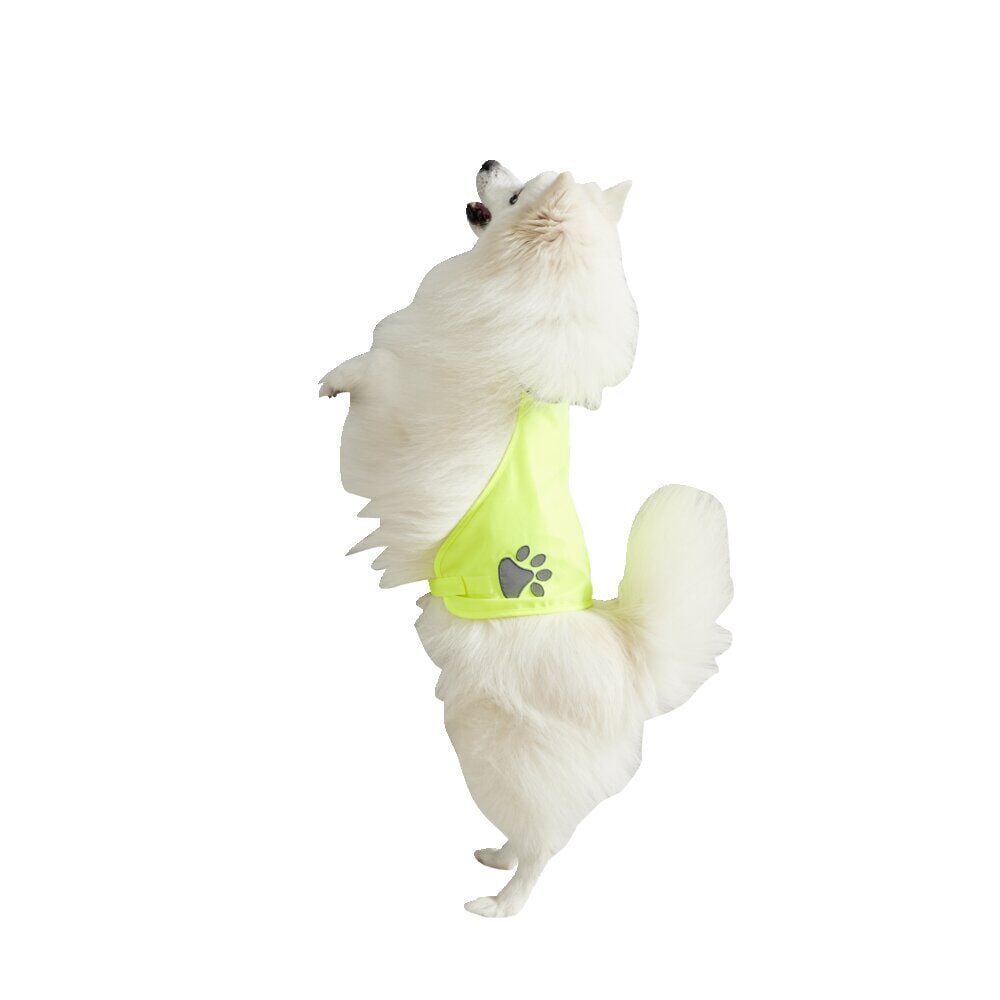 Gilet de sécurité pour chien réfléchissant Taille M