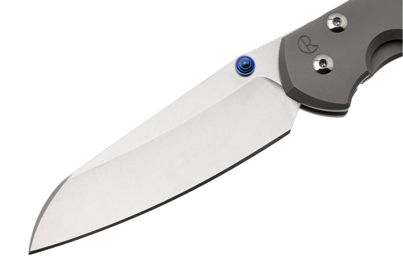 Chris Reeve Sebenza 31 Large Plain Glass Blasted Insingo L31-1685 zakmes