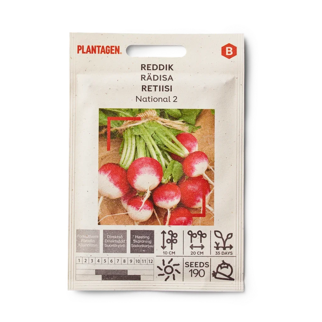 Raphanus sativus 'National 2' Reddik 'National 2'