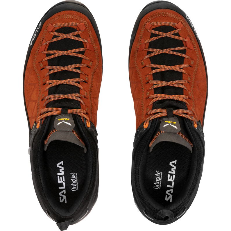 Salewa Herren MTN Trainer 2 GTX Schuhe