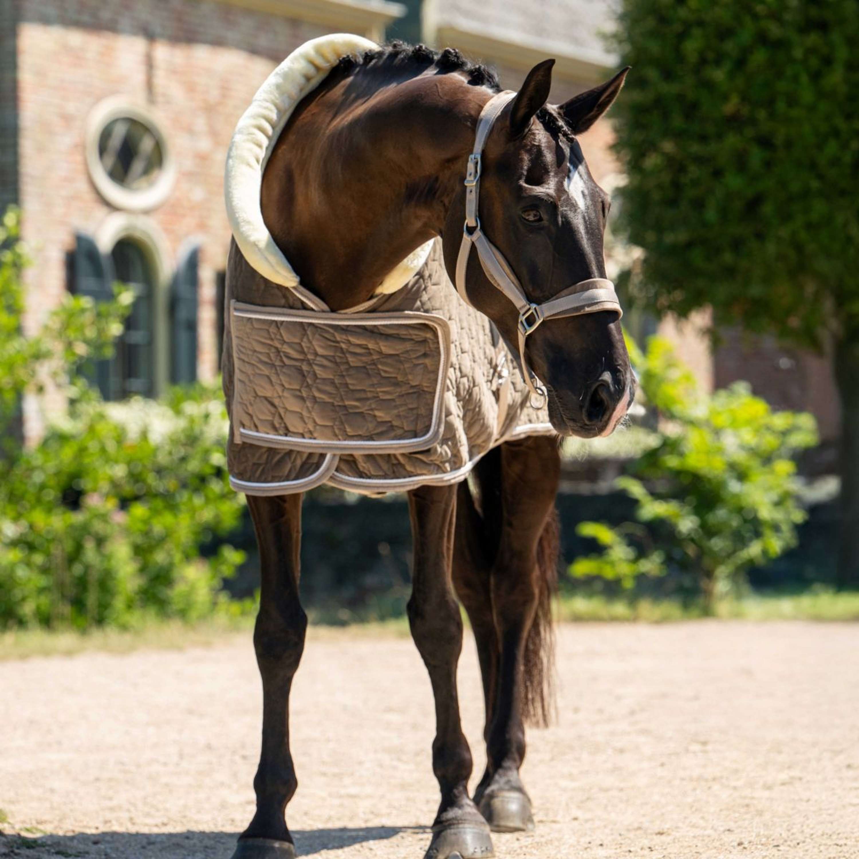 HB Ruitersport Showdeken Special Peach Taupe