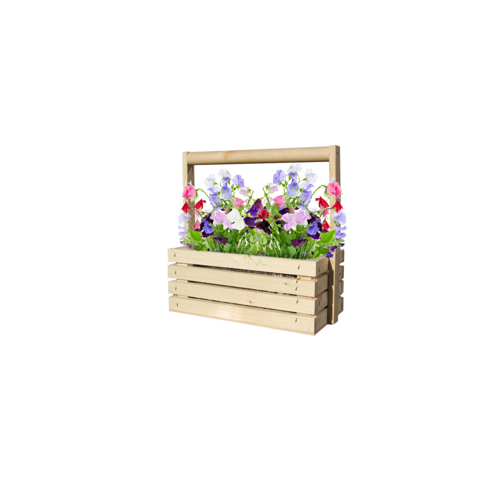 Baza Fresh Farm Lathyrus Byou
