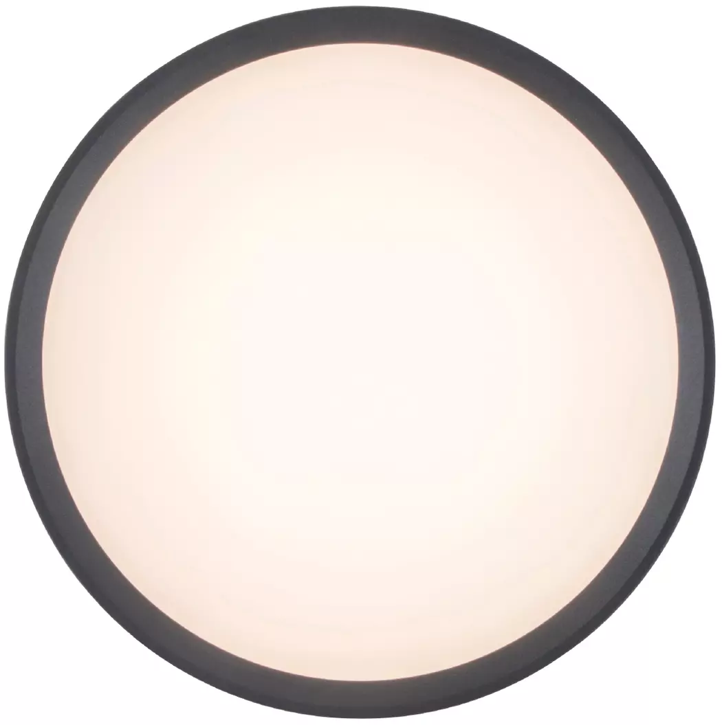 LED-Außenwandleuchte Rola