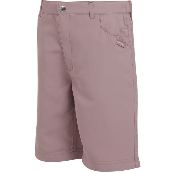 Short randonnée REGATTA SORCER SHORTS II HEATHER