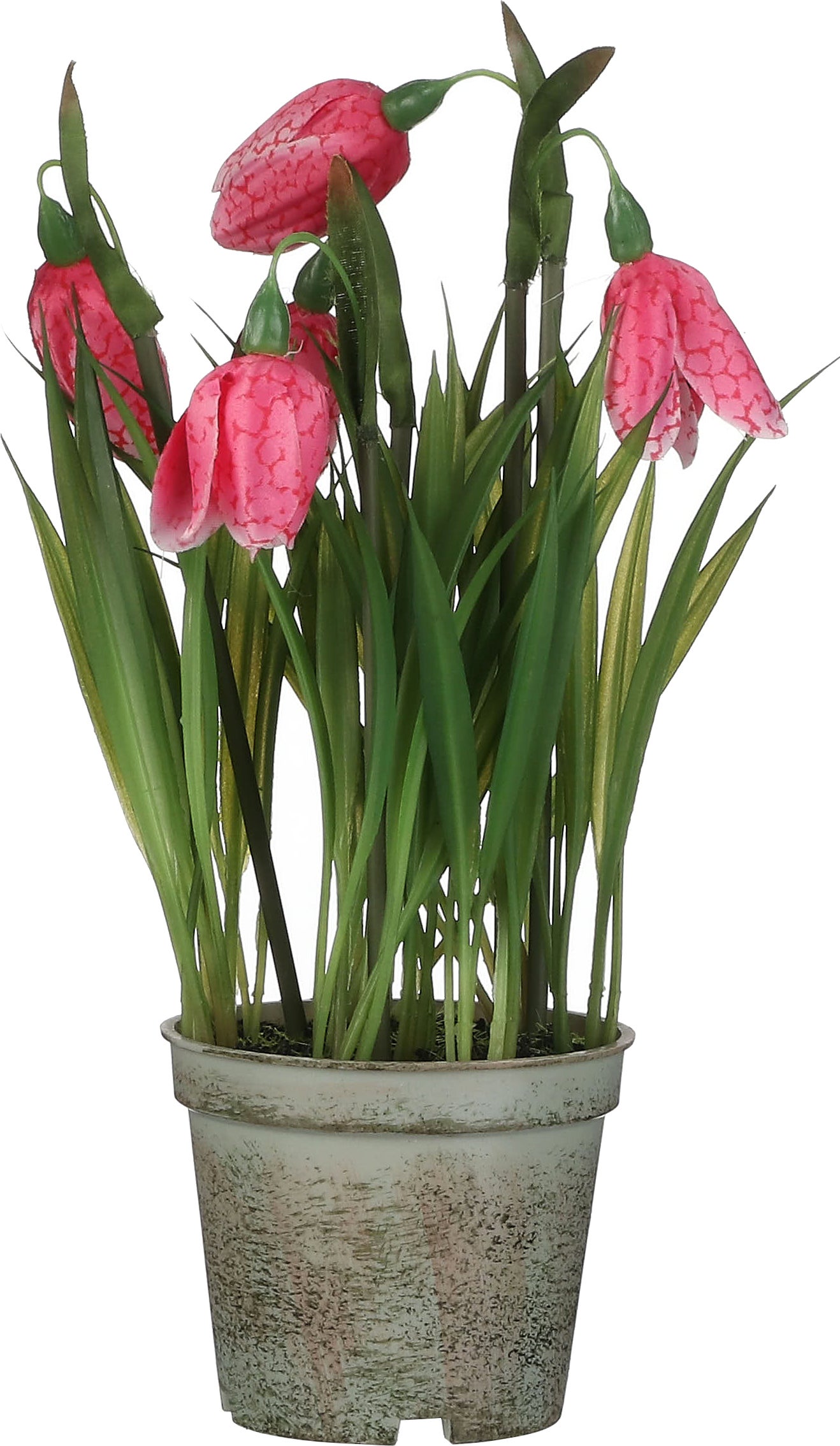 Mica Decorations kunstplant Kievitsbloem 8,5 x 8,5 x 23 cm
