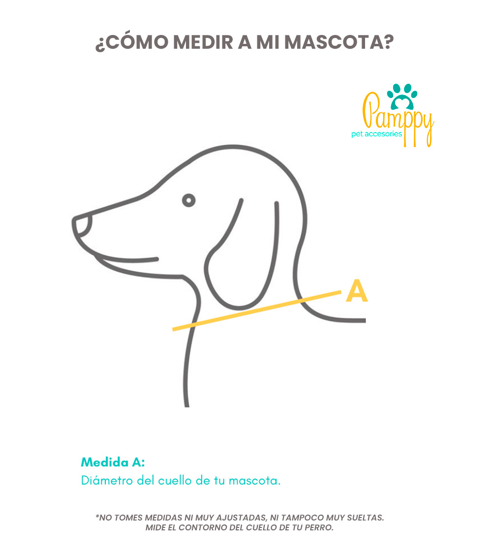 Coleira para cães Pappy Funny Candy, multicolorida
