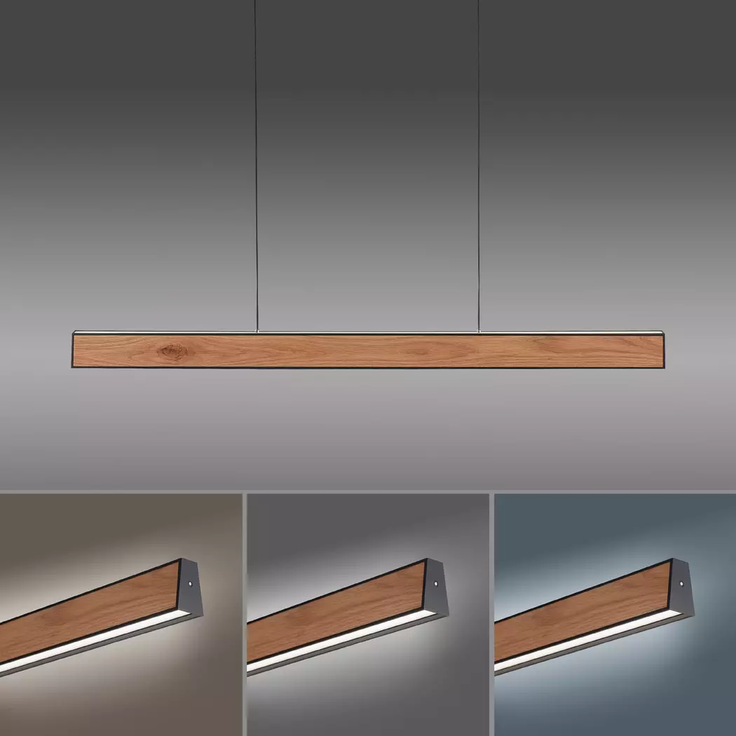 LED-Pendelleuchte Pure-Motion