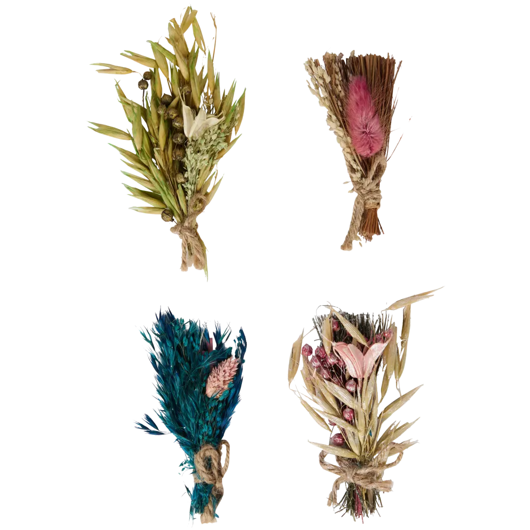 Droogboeket 4 stuks | diverse varianten