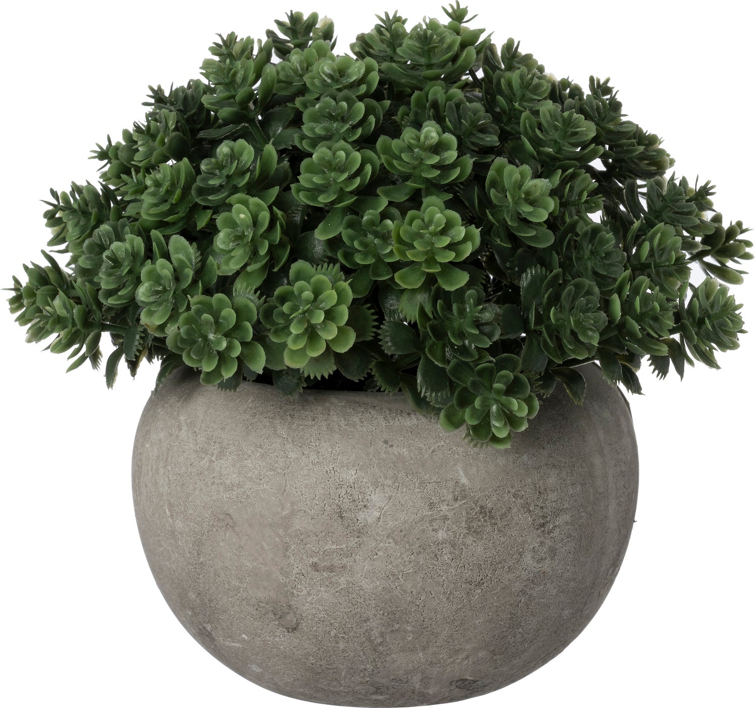 Intratuin kunstplant Sedum groen D 12 H 12,5 cm