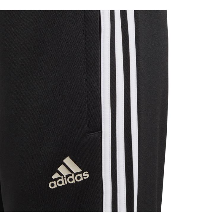 adidas TAN TR PNT Y