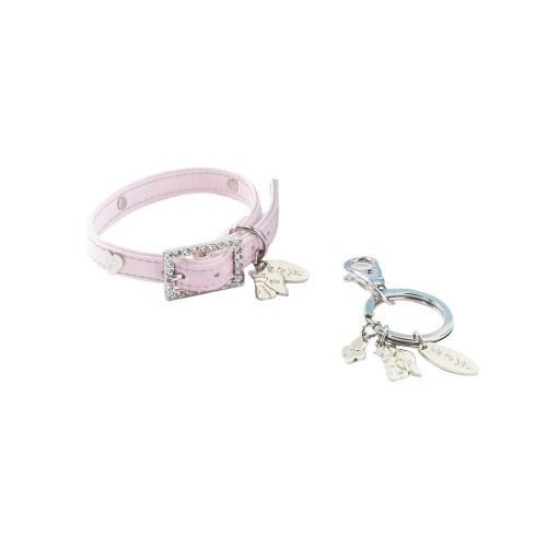 Caixa de presente com coleira e chaveiro para cachorro, rosa