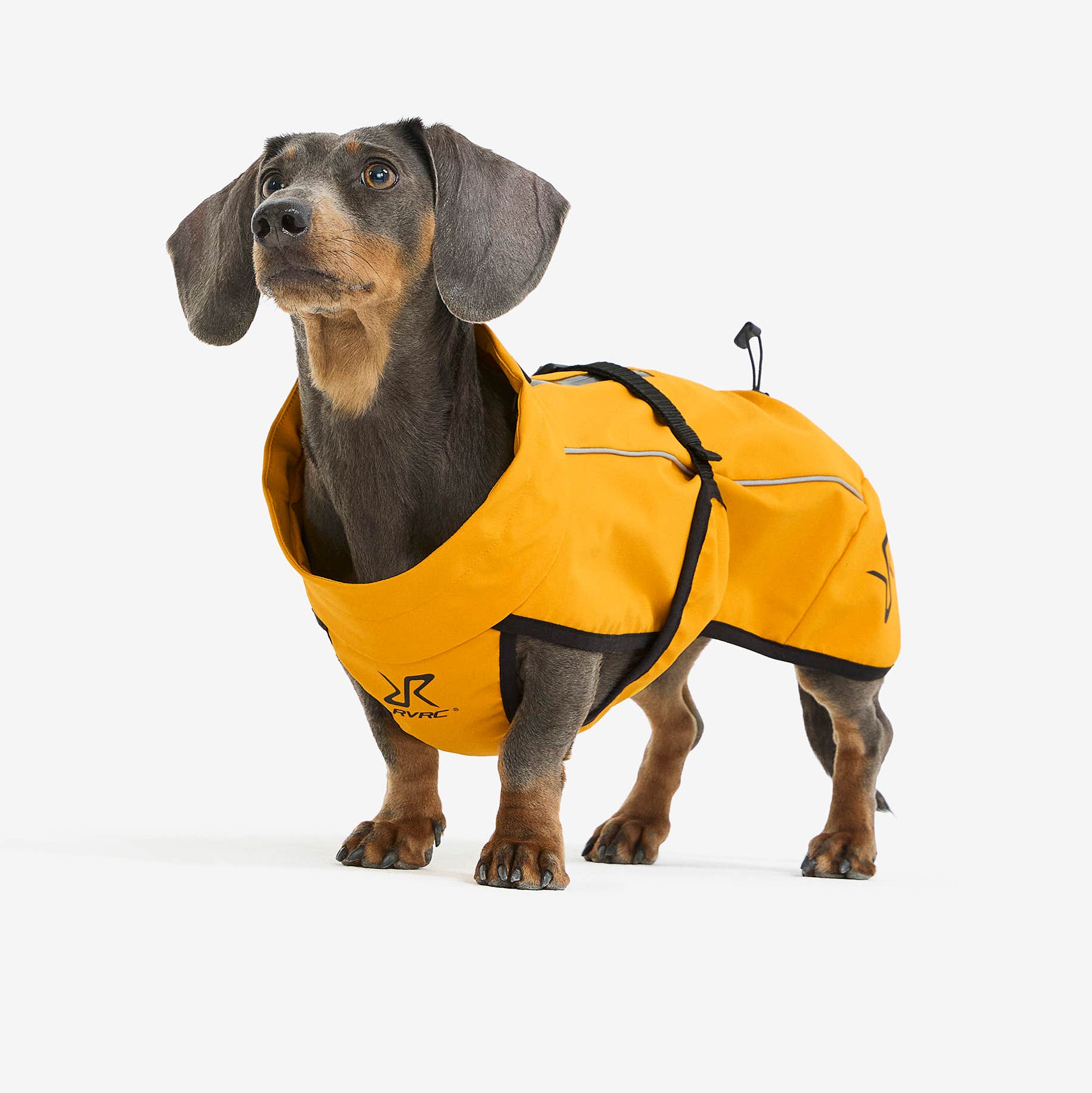 Cyclone Dog Jacket Hund Golden Yellow