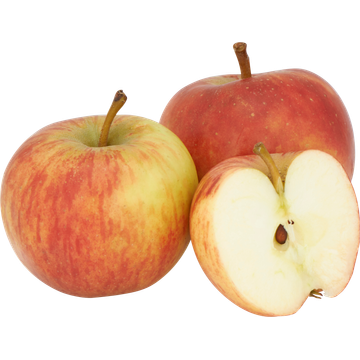 Jumbo Elstar Appels Voordeelverpakking 1,5 kg