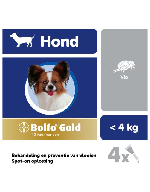 Bolfo Gold Hond 40 - Anti vlooienmiddel