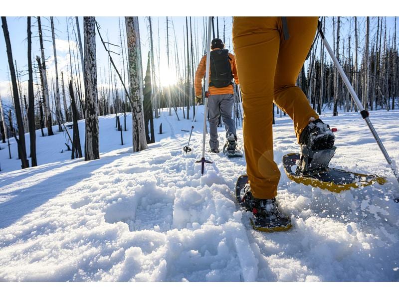 MSR Schneeschuhwanderstöcke Poles DynaLock Trail, 80-140 cm Zweiteiliger Skistock aus Aluminium
