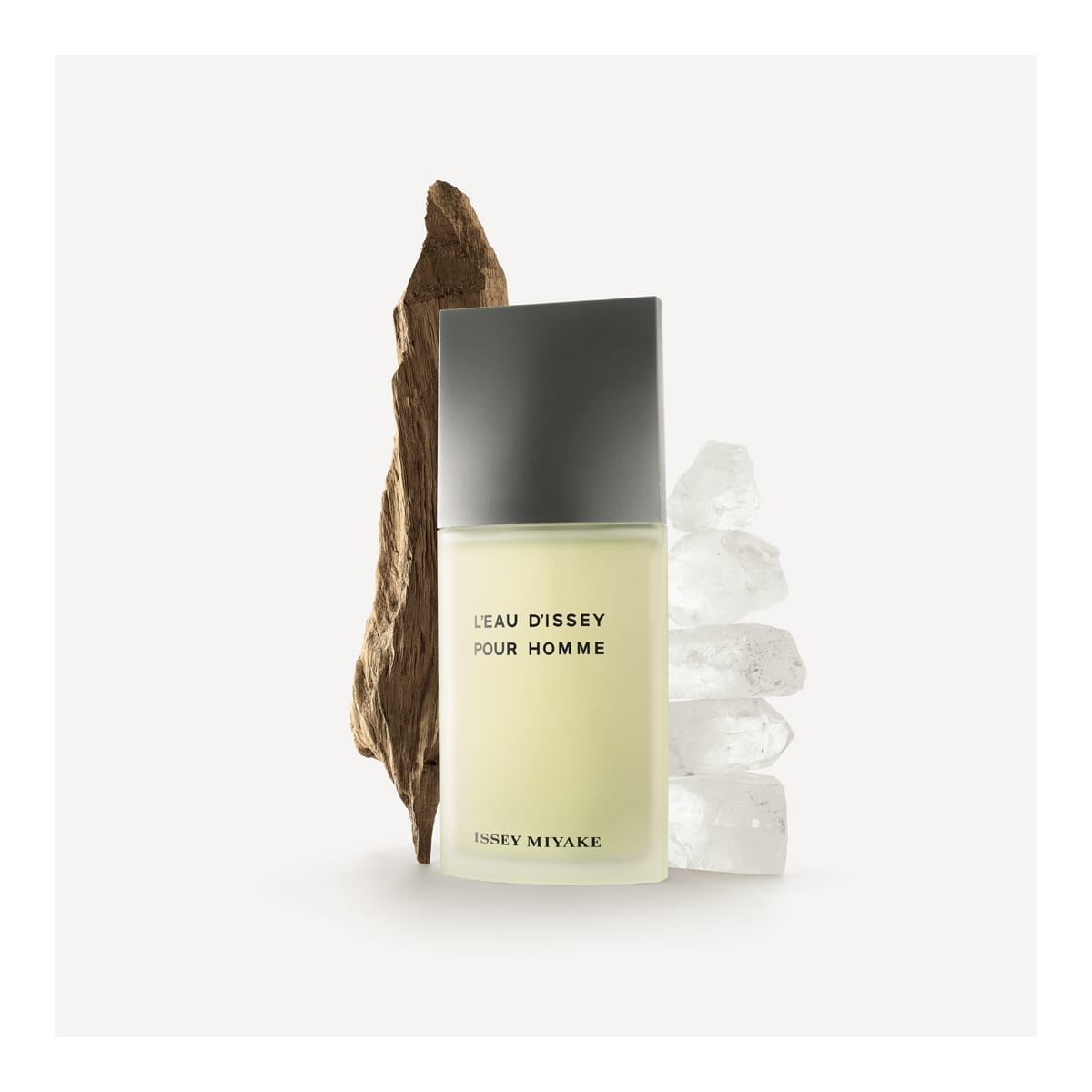 Issey Miyake L'Eau d'Issey pour Homme Eau de Toilette