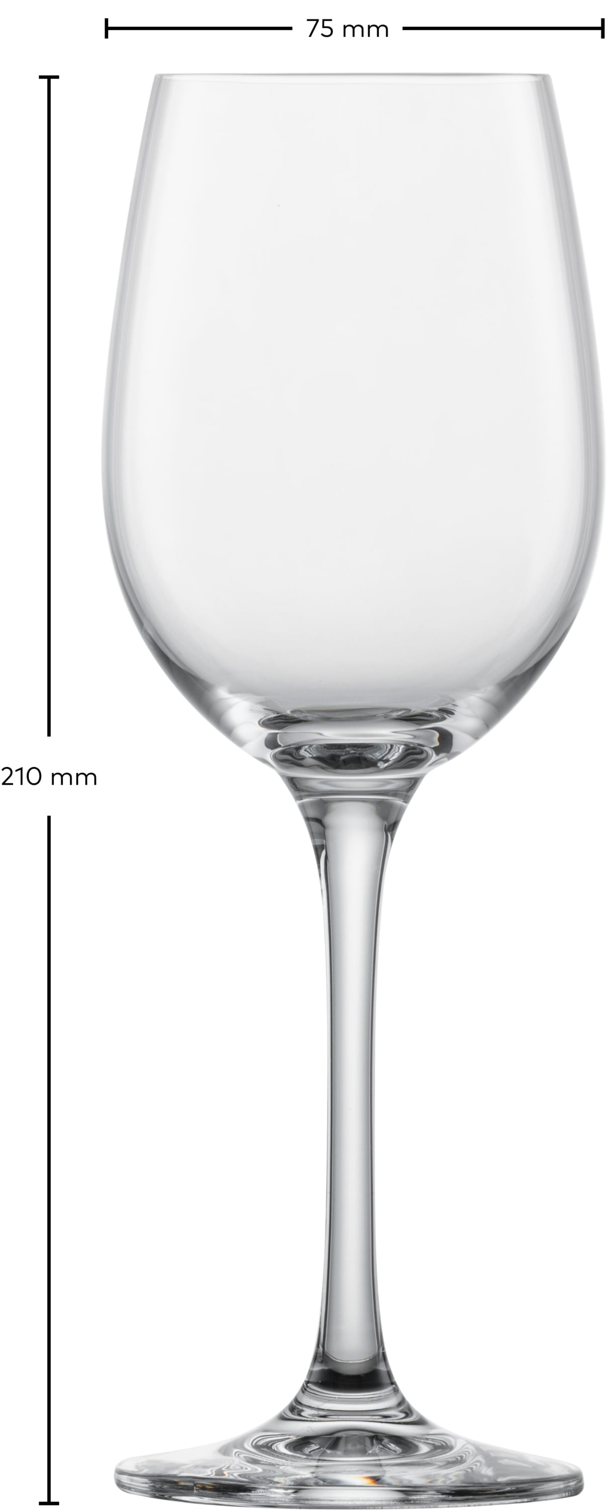 SCHOTT ZWIESEL Weißweinglas CLASSICO 6er Set 312 ml