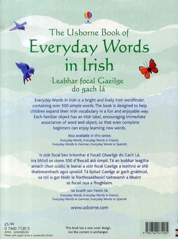 Everyday Words in Irish (Paperback)