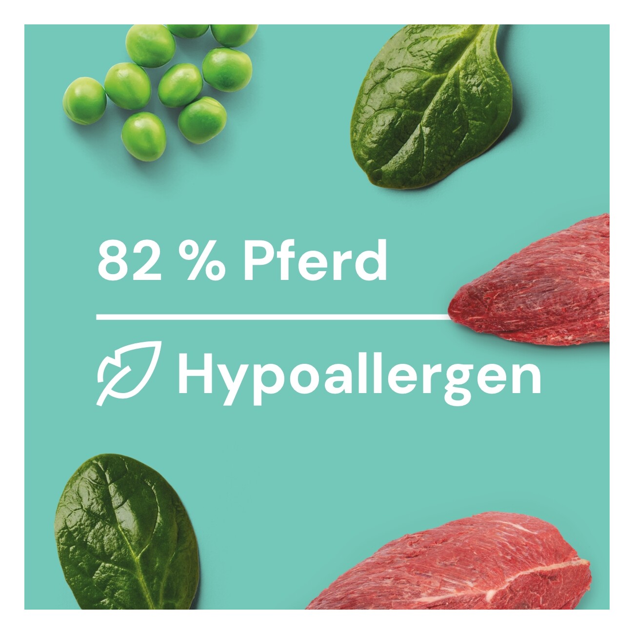 Nutriment Frischemenü Probierpaket 20x400 g
