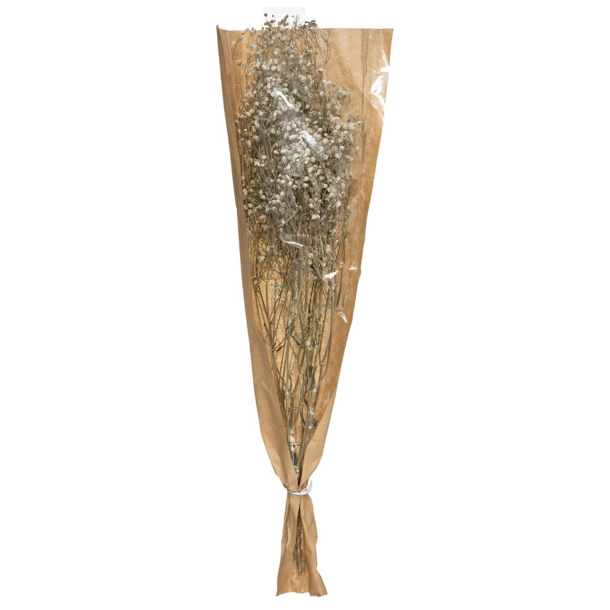 GYPSOPHILE NATUREL SECHE H.58CM