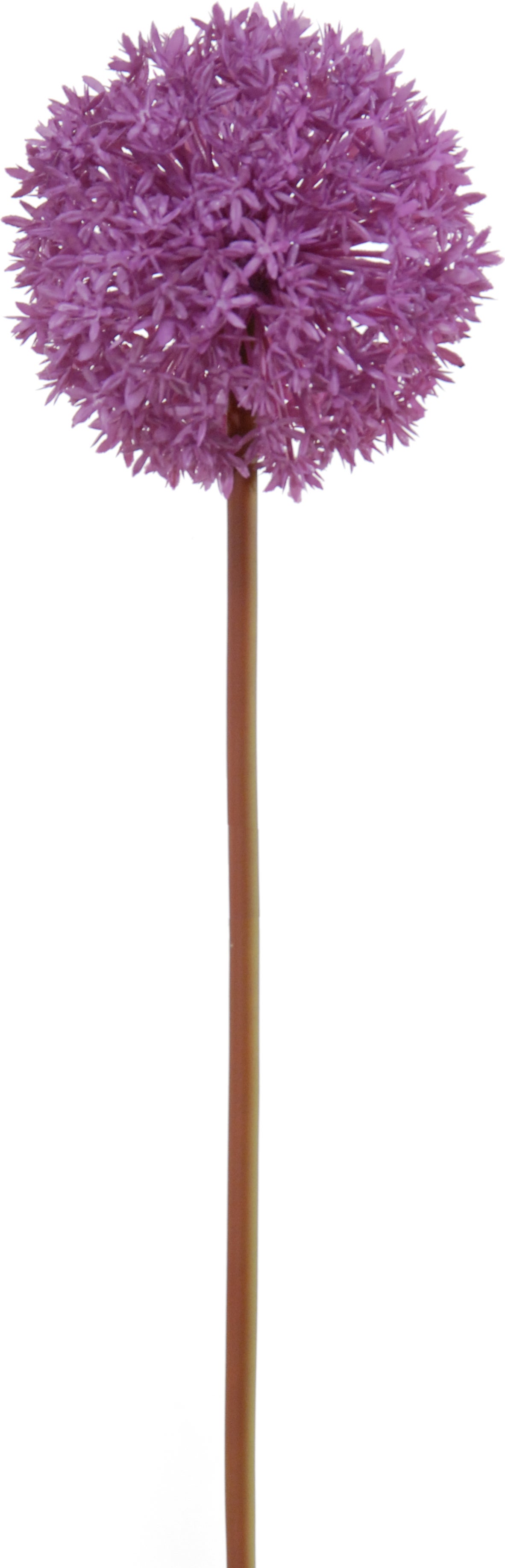 Louis Maes kunstbloem Allium paars 80 cm