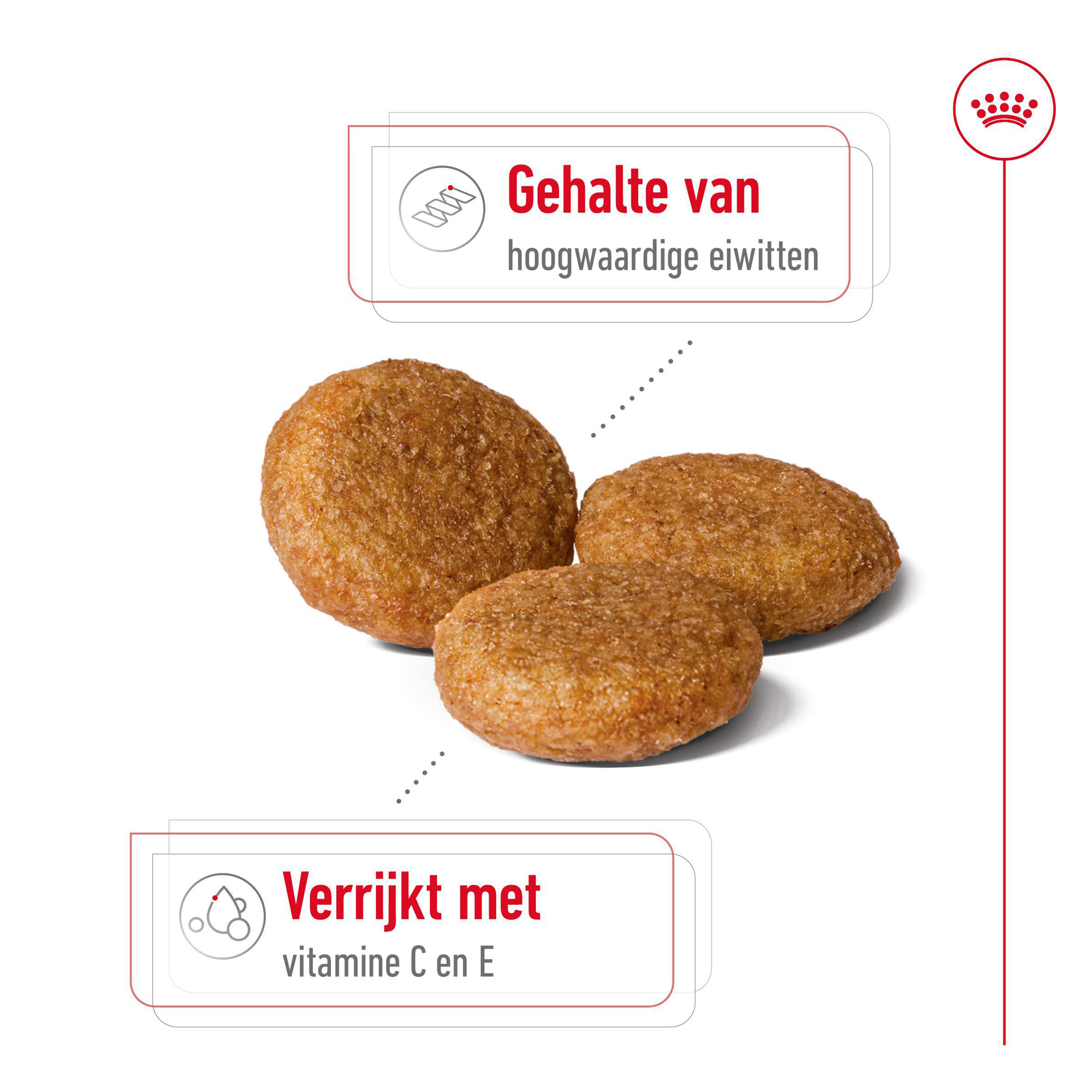 Royal Canin Medium Adult 7+ - Hondenvoer