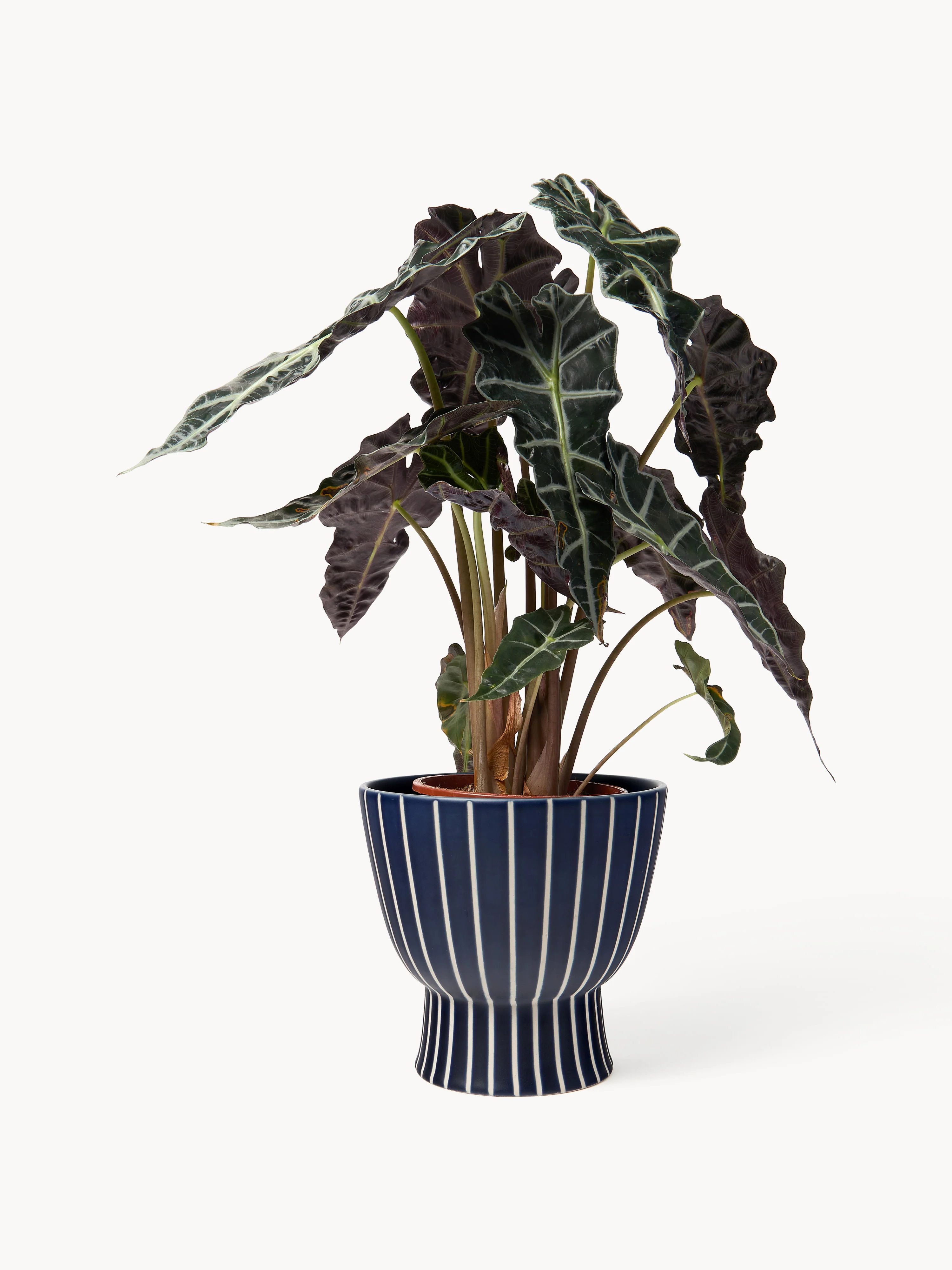 Handbeschilderde plantenpot Elio