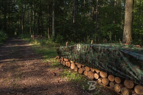 Presenning Bradas CAMOforest kamuflasjepresenning 4 x 5m 90 g.