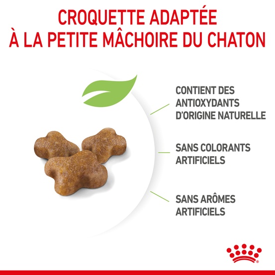 Croquettes Kitten Second Age pour chaton de 4 à 12 mois 4kg