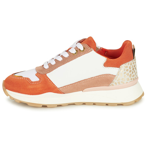 Bullboxer -  - Orange / Blanc / Marron
