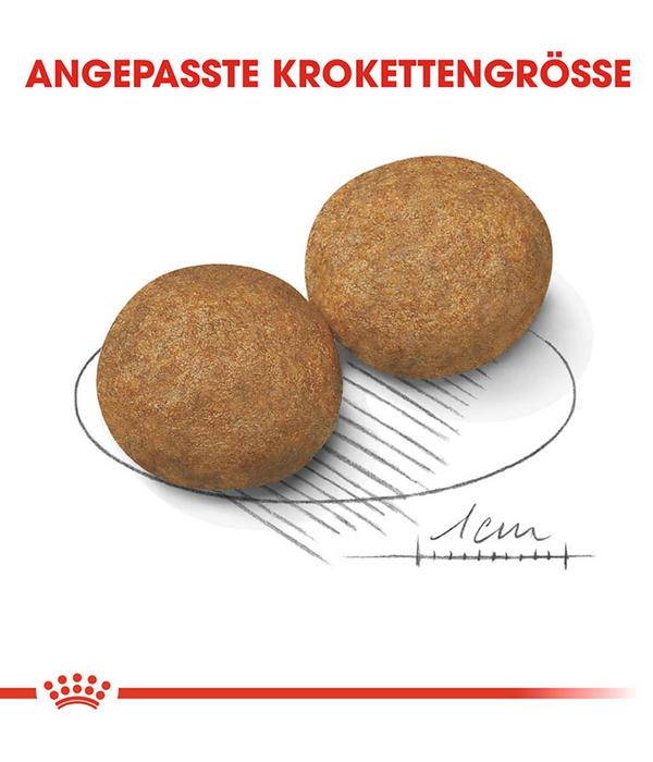 ROYAL CANIN® Trockenfutter für Hunde Medium