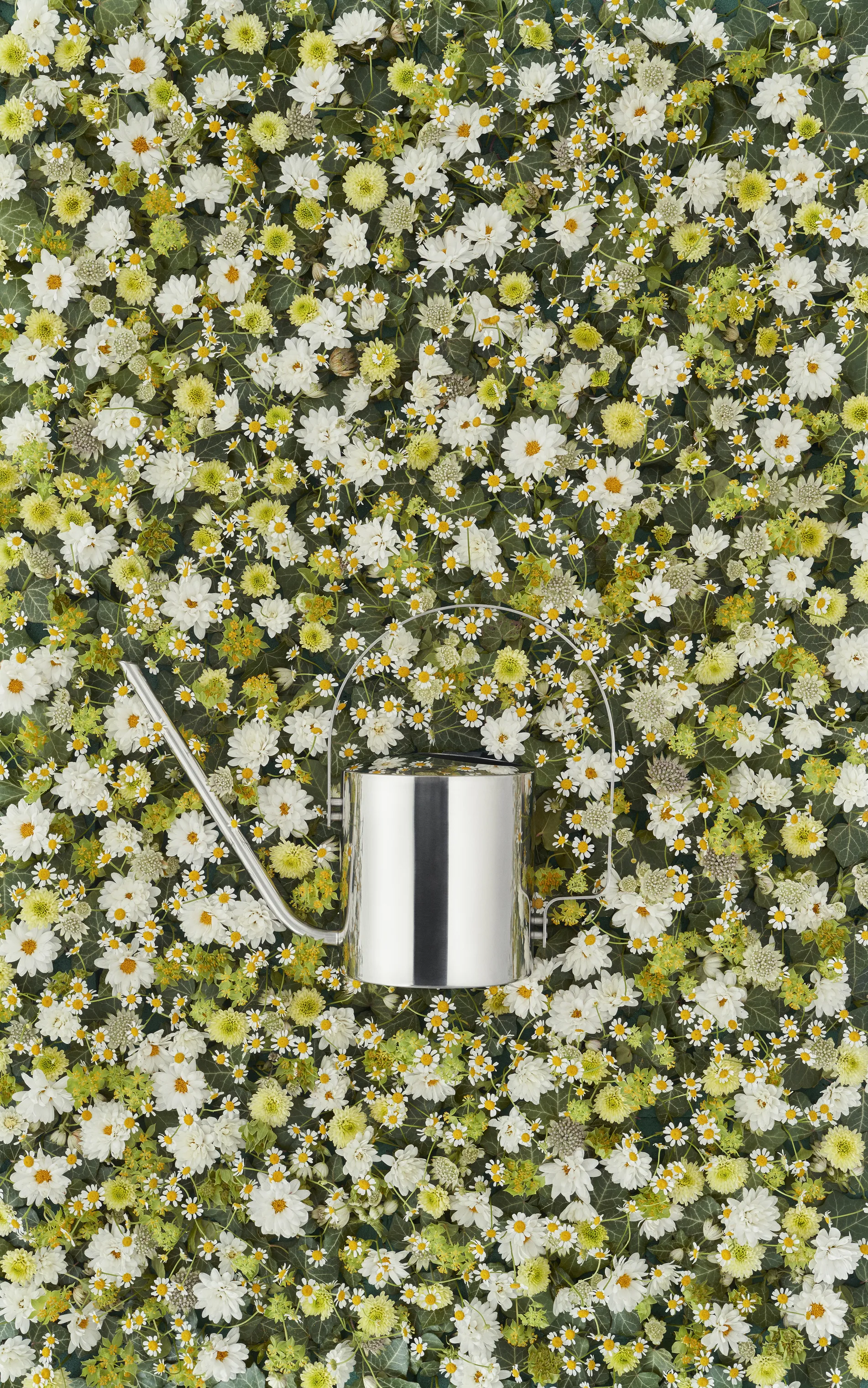 Stelton Original Vandkande