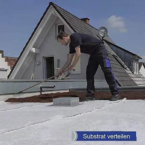 10m² Gründachpaket Dachbegrünung Gründach inkl. 80 Flachballenstauden + 500g Sprossen
