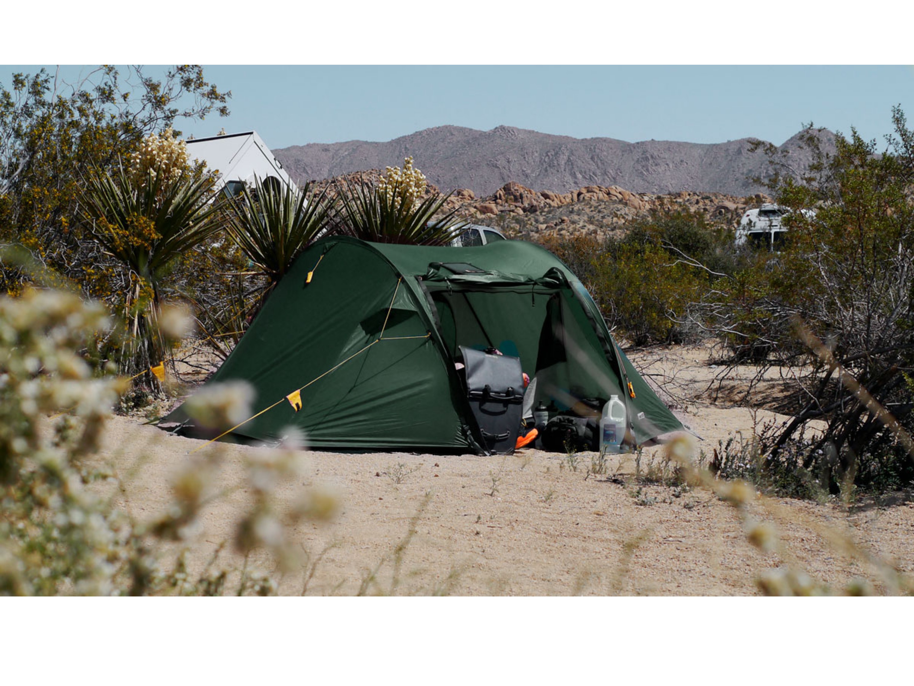 Wechsel Pioneer tunneltent