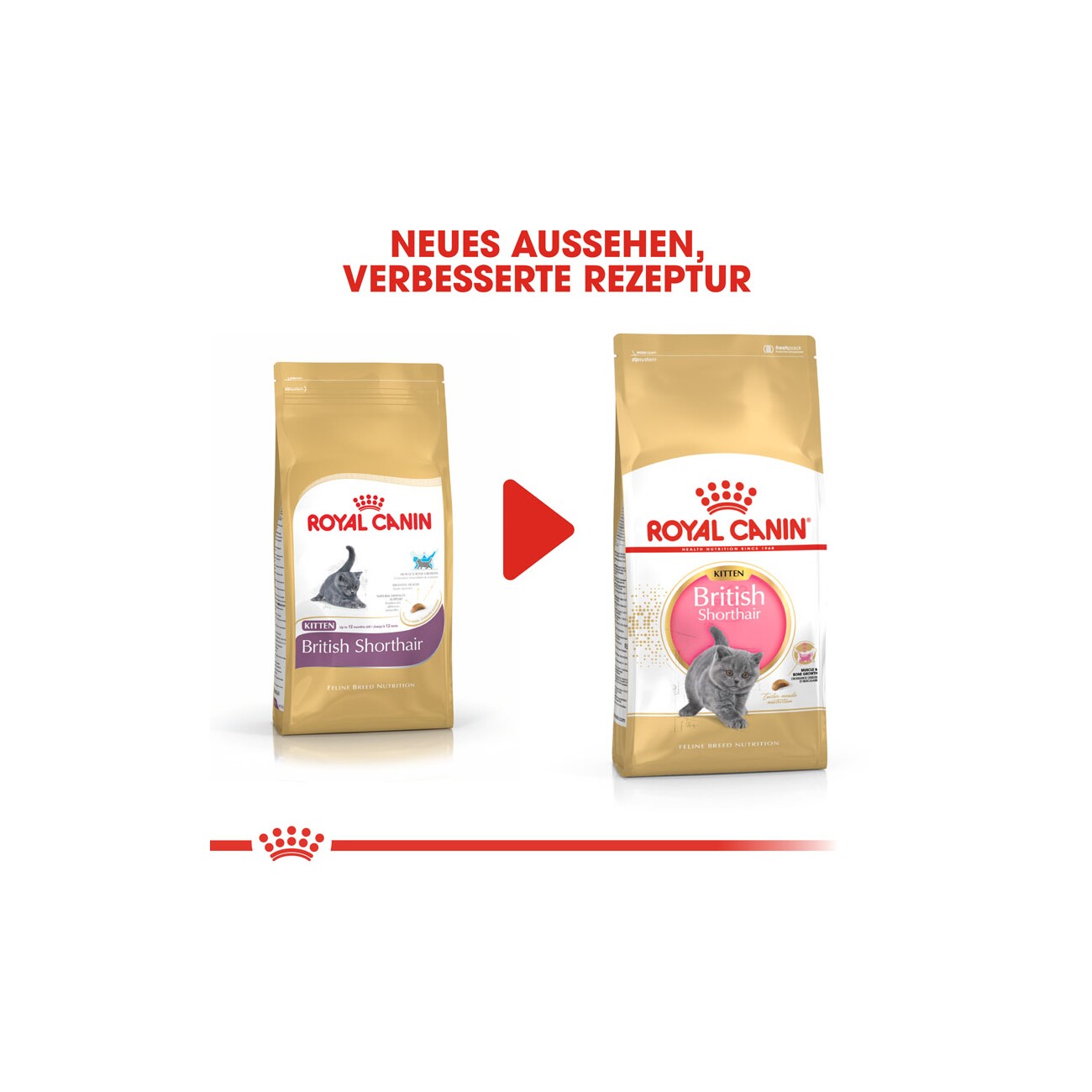 ROYAL CANIN British Shorthair Kitten 400 g
