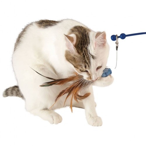 Brinquedo para gato Ferplast, azul