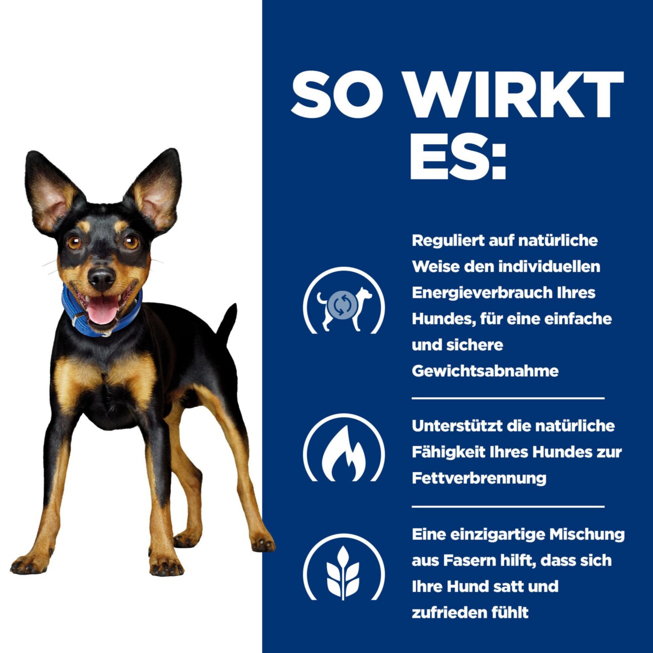 Hill's Prescription Diet Metabolic Weight Management Mini mit Huhn 6 kg