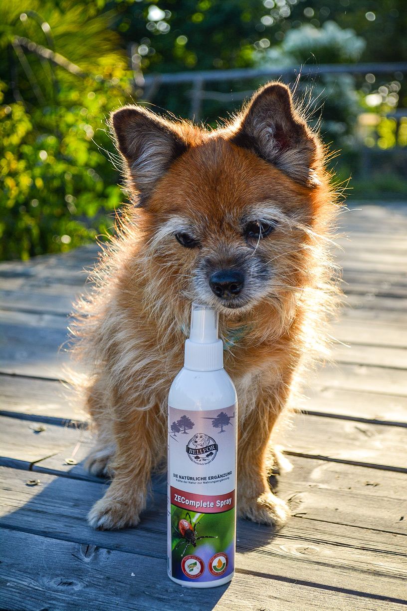 Bellfor Anti Zecken ZEComplete natürliches Spray für Hunde Zeckenmittel für Hunde