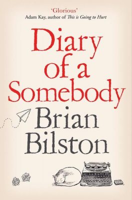 Diary of a Somebody (Paperback)