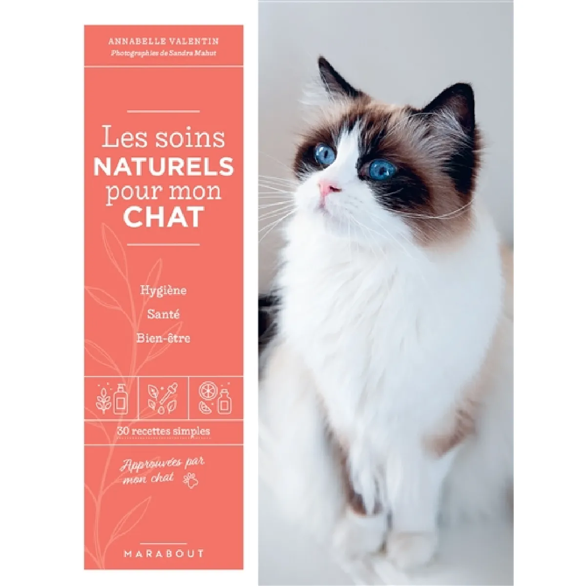Les soins naturels pour mon chat : hygiène, santé, bien-être : 30 recettes simples · Occasion