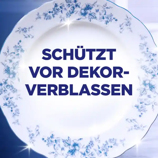 Protector Farb- und Glanzschutz