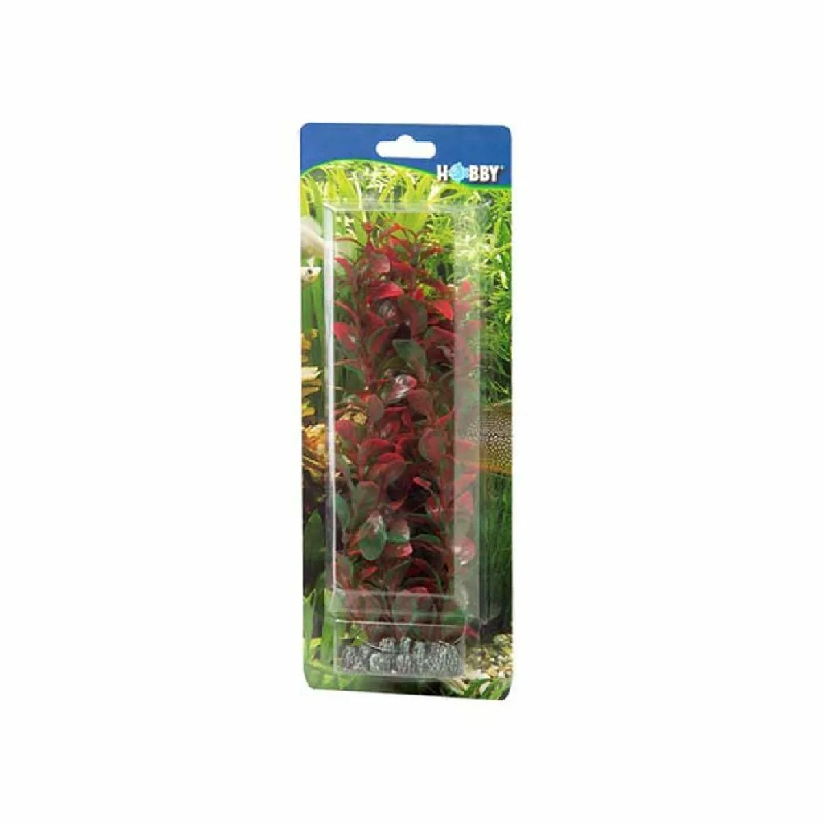 Hobby Ludwigia