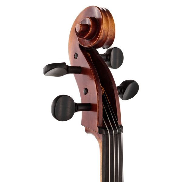 Gewa Maestro 6 Antiqued Cello 4/4